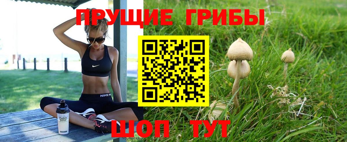 Псилоцибиновые грибы Psilocybe  Вход с VPN  Дивногорск 