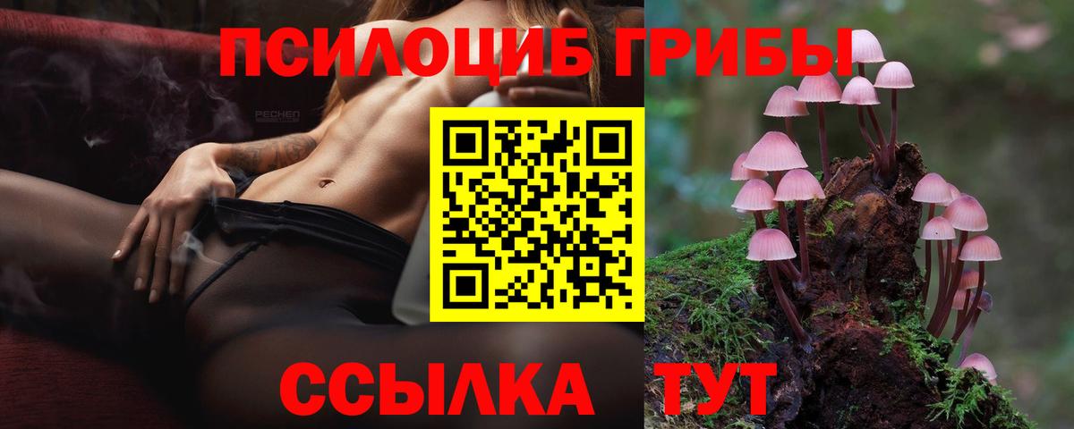Псилоцибиновые грибы ЛСД Дивногорск